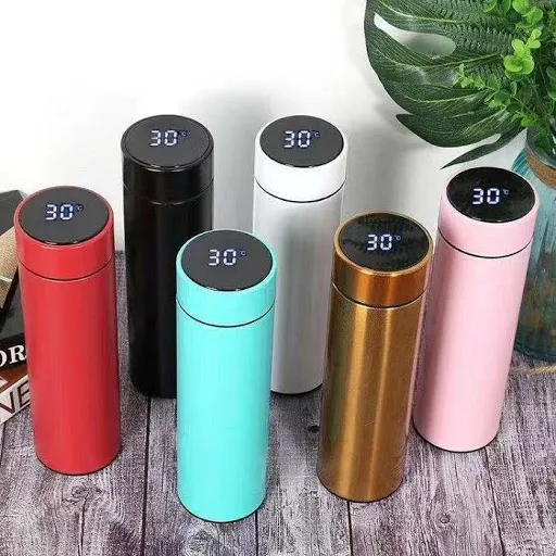 Temperature Display Thermos