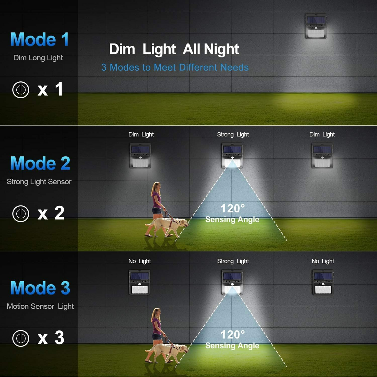 Solar Motion Sensor Wall Light