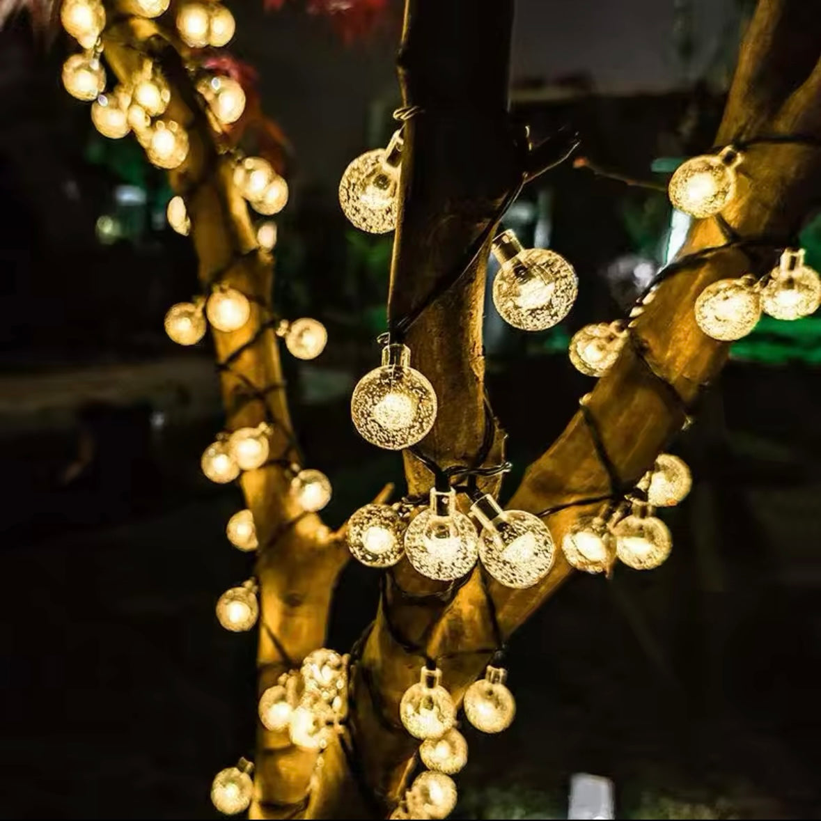 50-LED Solar String Lights