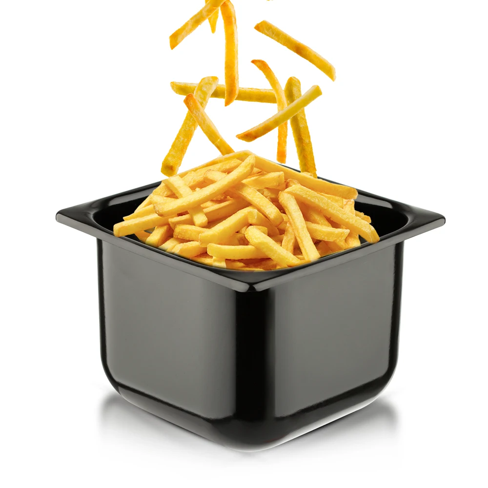RAF 2000W Fryer R5229