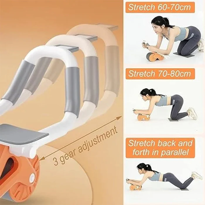Abdominal Exercise Wheel