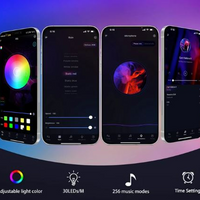 LED Fire Work Strip Lights App And Remote Control