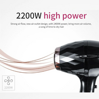 VGR V413 Professional Hair Dryer | 2200W High Power
