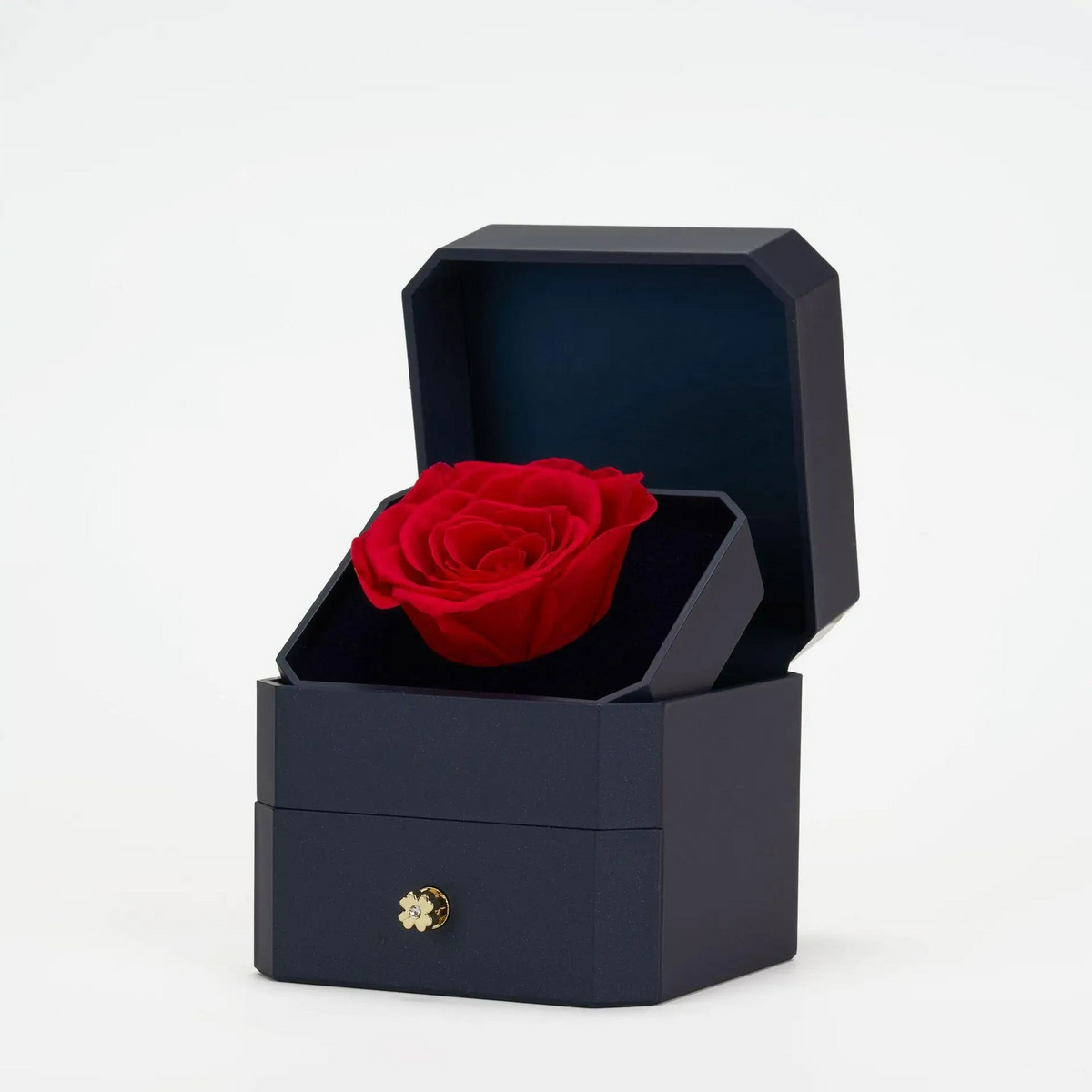 Rose Jewelry Box & Heart Necklace