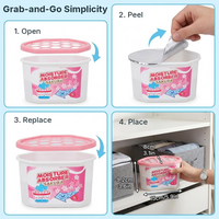 Moisture Absorber & Odor Eliminator