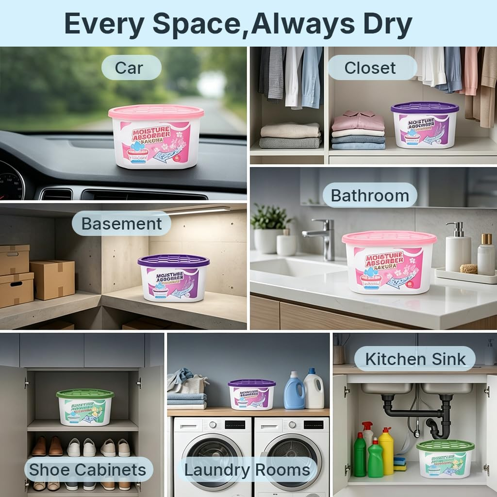 Moisture Absorber & Odor Eliminator