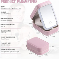 Travel Size LED Mirror & Beauty Makeup organiser Case
