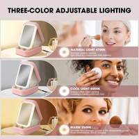 Travel Size LED Mirror & Beauty Makeup organiser Case
