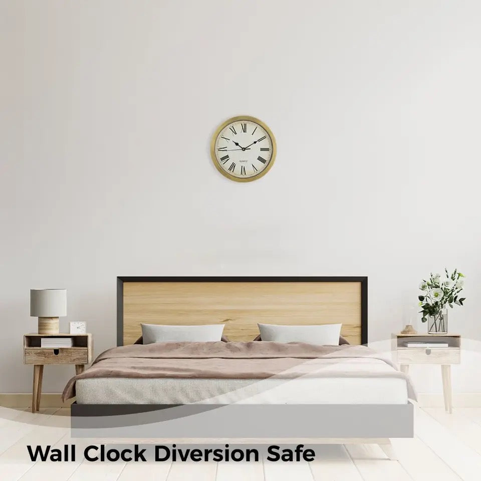 Hidden Clock Safe