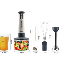 Raf Hand Blender Set 5 In 1 R340