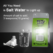 Portable Salt Water LED Lamp