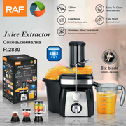 RAF 4-in-1 Food Processor R2830