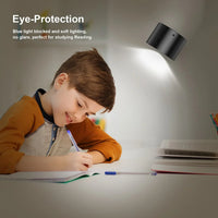 The LED Wall Lamp 3 colors