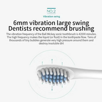 Sonic Electric Toothbrush, USB Rechargeable with 3 Brush Heads & 6 Modes | IPX7 Waterproof for Adults and Kids