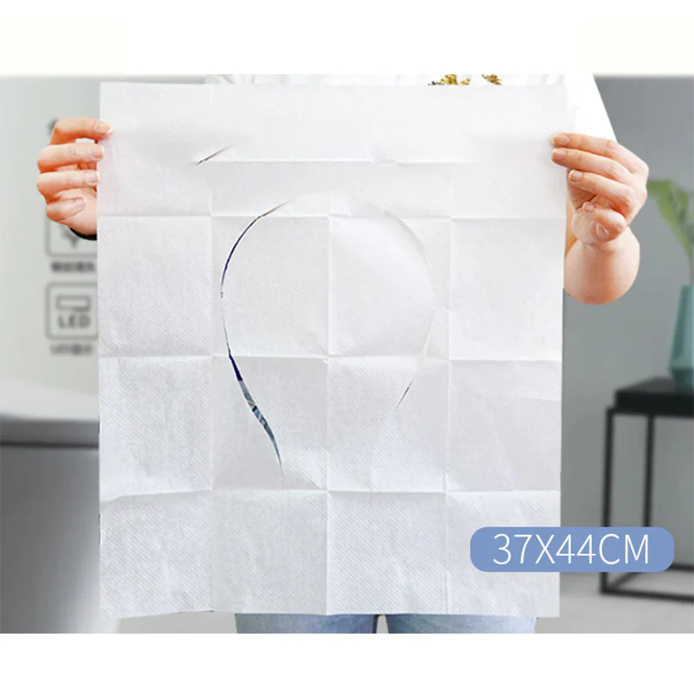 10-Piece Disposable Toilet Paper