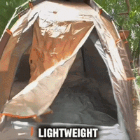 Instant 2–3 Person Camping Tent