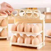 Modern Egg Storage Rack Organizer
