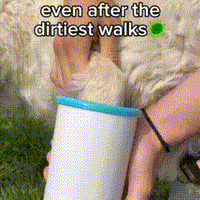 Dog paw cleaner after dirty walks