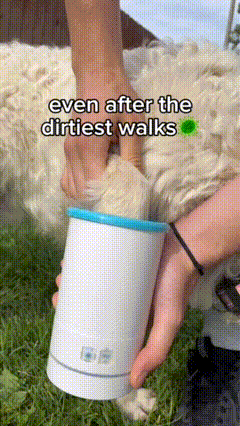 Dog paw cleaner after dirty walks