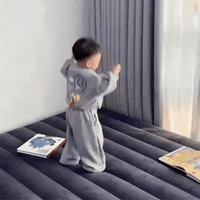 Intex Dura-Beam Air Mattress
