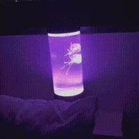 Jellyfish LED Mood Lamp